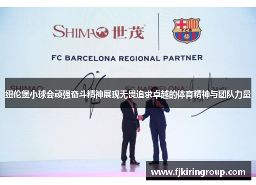 纽伦堡小球会顽强奋斗精神展现无畏追求卓越的体育精神与团队力量
