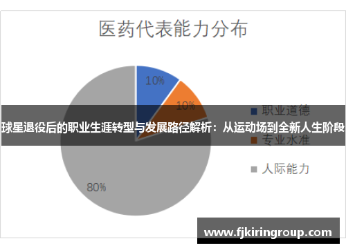 球星退役后的职业生涯转型与发展路径解析：从运动场到全新人生阶段
