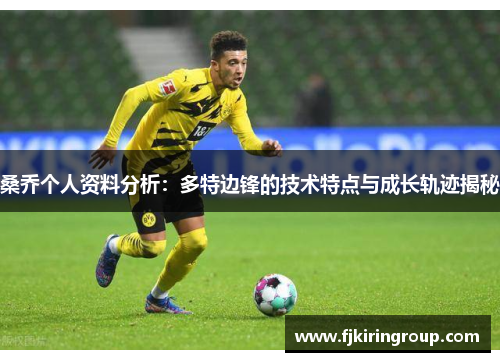 桑乔个人资料分析：多特边锋的技术特点与成长轨迹揭秘